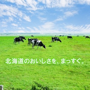 北海道よつ葉 加塩バター１２個セット[№5891-0716]《30日以内に出荷(土日祝除く)》