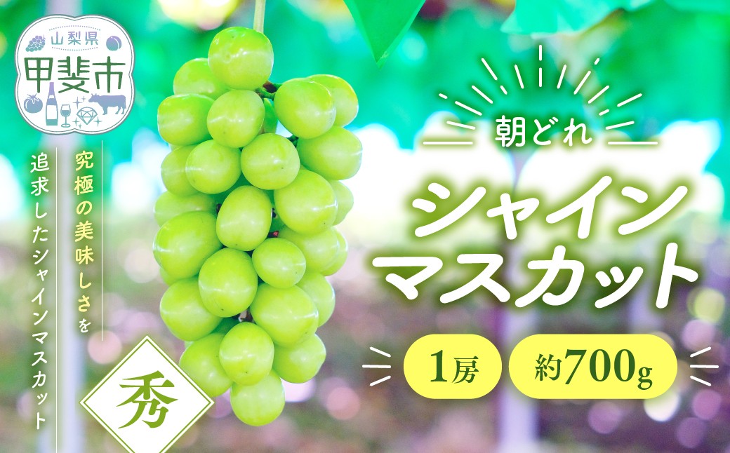 
            【2025年分発送】シャインマスカット　1房　約700ｇ　先行予約 先行 予約 山梨県産 産地直送 フルーツ 果物 くだもの ぶどう ブドウ 葡萄 シャイン シャインマスカット 新鮮 人気 おすすめ 国産 山梨 甲斐市 贈答 ギフト お取り寄せ 朝どれ AV-36
          