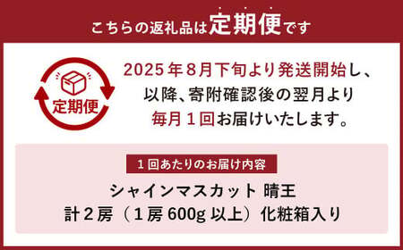 【3回定期便】岡山県産 シャインマスカット 晴王 計2房 （1房600g以上） 【2025年8月下旬発送開始】 ／ 3回 マスカット 葡萄 ぶどう 果物 果実 フルーツ 定期便 岡山県 美咲町 冷蔵