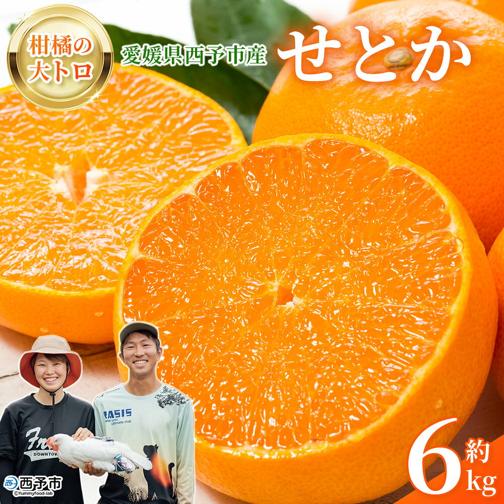 【ふるさと納税】＜せとか 約6kg＞ セトカ 柑橘の大トロ コク旨み 薄皮 濃い甘み 愛媛県産 6キロ 柑橘 果物 くだもの フルーツ ミカン みかん 蜜柑 濃厚 高級柑橘 国産 特産品 とりこ農園 愛媛県 西予市【常温】『2026年2月中旬～3月上旬に順次出荷予定』