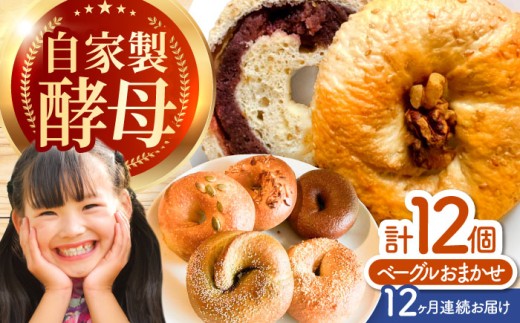 【12回定期便】 自家製天然酵母のおまかせベーグル 12個セット / ベーグル 全粒粉 朝ごはん 朝食 昼食 おやつ べーぐる 間食 パン ベーグルパン ベーグル 国産小麦 冷凍 冷凍パン 天然酵母 小麦 もちもち 国産 ギフト プレゼント 手土産  bagel  / 亀山市 / くるくる・ベーグル[AMAT012]