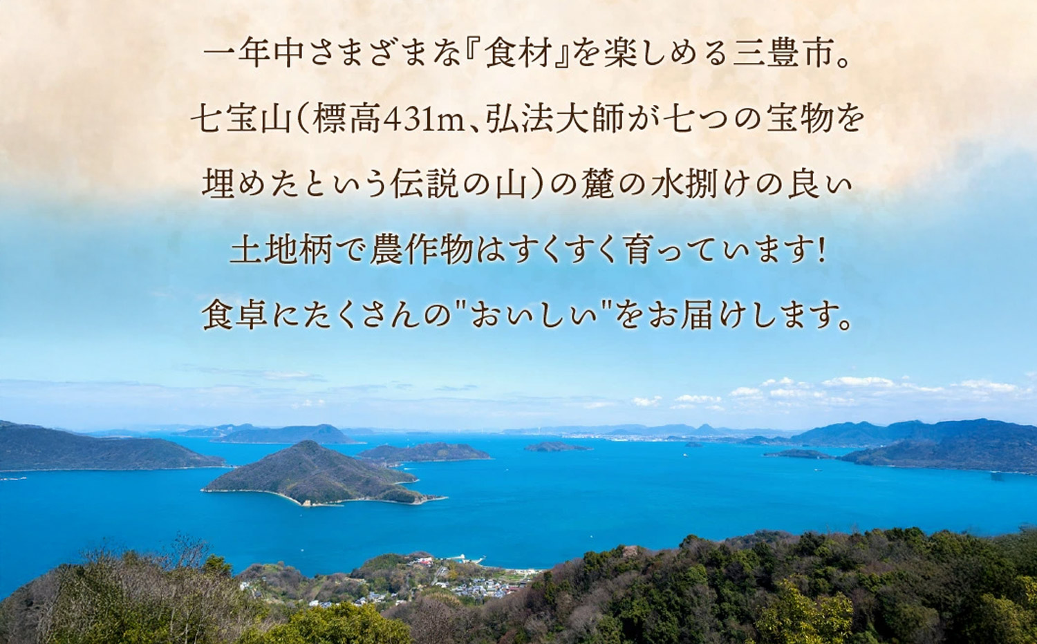 M64-0112_コシヒカリ　10kg