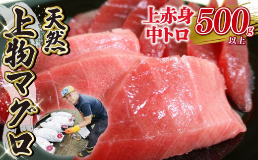 マグロ 2種 500g 以上 刺身 上物 まぐろ 鮪 赤身 中トロ 冷凍 静岡県 藤枝市