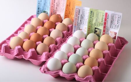 産みたて 6色たまご詰合せ 60個