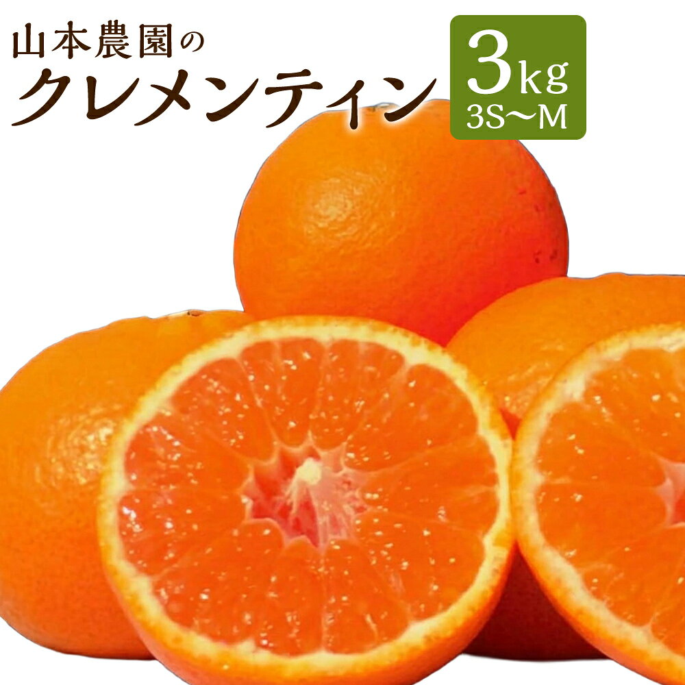 【ふるさと納税】 山本農園のクレメンティン 3kg 【2027年1月下旬~3月上旬】 クレメンティン みかん 柑橘 国産 オレンジ マンダリン 希少 ジューシー くだもの 果物 フルーツ 新鮮 贈り物 ギフト 佐賀県 太良町 送料無料 L41x2