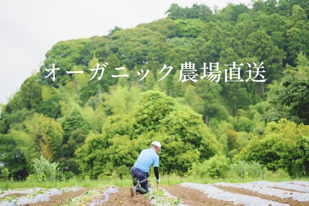 【フードロス対応・規格外野菜利用】有機野菜　シェフＳセット　オーガニック野菜 1回 6903