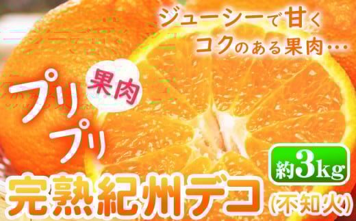 【先行予約】果肉プリプリ 完熟 紀州デコ ( 不知火 )  約 3kg 果肉 デコ 株式会社魚鶴《2月下旬-3月中旬頃よりに発送予定(土日祝除く)》紀州デコ 和歌山県 日高町 贈り物 ギフト 不知火 しらぬい デコポン でこぽん 柑橘 みかん ---wsh_uot121_2g3c_25_13000_3kg---
