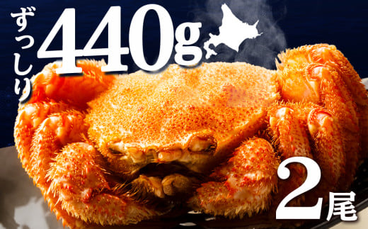 【12月23日決済分まで年内発送】☆北海道産 毛ガニ 約440g×2尾 セット かに 蟹 毛蟹 冷凍 北海道産 浜頓別町