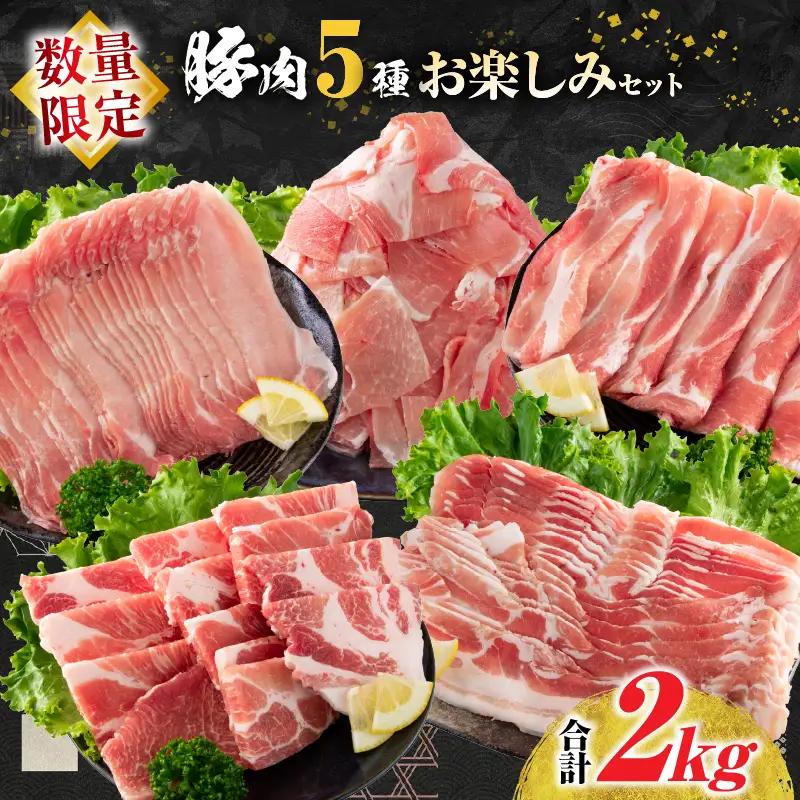 豚肉5種 盛り合わせ セット 合計2kg _CA69-25