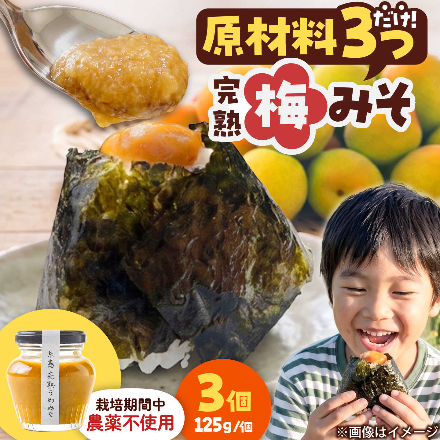 【ふるさと納税】糸島完熟うめみそ3個セット 糸島市 / 糸島げんき工房[AKR005] 梅みそ 調味料 10000円 1万円