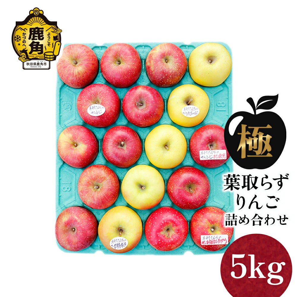 【ふるさと納税】《 先行予約 》 りんご 極 葉取らずりんご 3～5品種 詰め合わせ 5kg（13～20玉）品種おまかせ【録政園】 葉とらず みずみずしい 果汁 リンゴ 林檎 完熟 旬 県産りんご お中元 お歳暮 贈り物 お見舞い グルメ ギフト 故郷 秋田県鹿角市産 送料無料