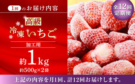 【12回定期便】【数量限定】高級 冷凍  いちご 加工用 約1kg（約500g×2袋）【伊藤農園】 果物 フルーツ イチゴ いちご 苺 熊本県 特産品 オーガニック 有機 恋みのり 冷凍 いちご 冷凍