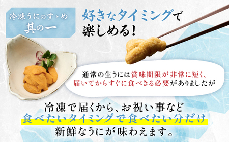 北海道登別近海産エゾバフンウニ（冷凍パック）300g　［ウニ うに 雲丹 近海産 登別市 登別 登別近海 エゾバフン 蝦夷馬糞 ］