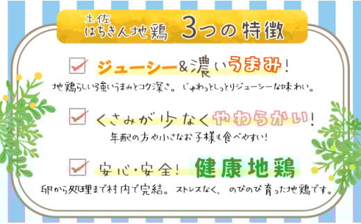 【大川村と芸西村の共通返礼品】はちきん地鶏 まるごと一羽おためしセット 約1kg＆土佐鴨 鴨鍋肉（2～3人前）セット 地鶏 もも肉 むね肉 ささみ 手羽先 手羽元 鶏肉 鴨 鴨肉 高知県 大川村 F6