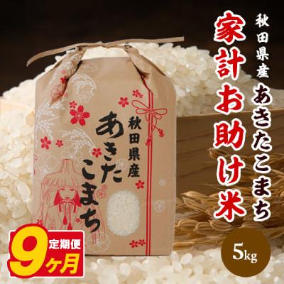 ふるさと納税 八郎潟町 【毎月定期便】あきたこまち 家計お助け米 5kg【白米】 秋田県産全9回