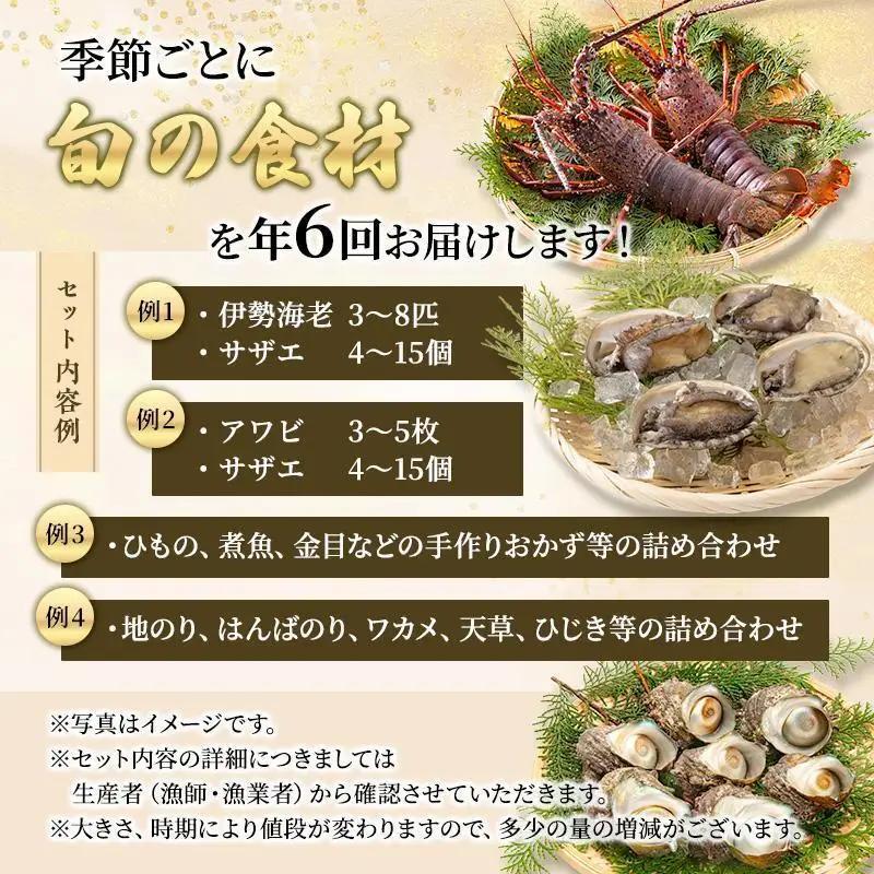 海鮮セット 年6回 定期便 アワビ 伊勢海老 海藻 海鮮セット