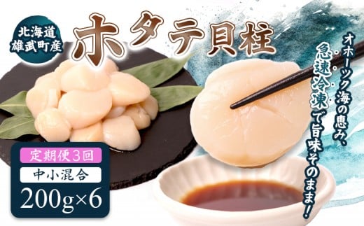 
            【定期便3回】　北海道雄武町産ほたて貝柱 中小混合 200g×6 (冷凍) 使い切りパック | ふるさと納税 北海道 雄武 ホタテ 帆立 ほたて 小粒 中粒 大粒 200g×6 3.6kg 冷凍 オホーツク オホーツク産 刺身 魚貝 魚介 海鮮 海産 海産物 魚介類 お取り寄せ ワンストップ マイページ 雄武漁業協同組合【0714201】
          