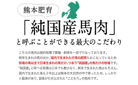 手作りハン馬ーグ 100g×10個 馬肉100%配合 熊本肥育 ハンバーグ