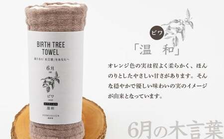 6月「ビワ」の木言葉 「温和」 BIRTH TREE TOWEL |  ガーゼ ガーゼ ガーゼ ガーゼ ガーゼタオル ガーゼハンカチ タオル ハンカチ ふわふわ 草木染 染め RYOKUSUIEN 緑