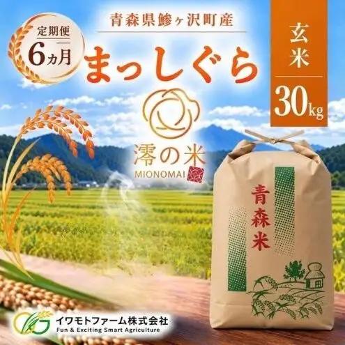 【6回定期便】米 30kg 玄米 まっしぐら イワモトファーム 青森県産 令和8年産 6ヶ月 定期便 新米 健康 栄養 食物繊維 業務用 大容量 ブランド米 直送 農家直送 お取り寄せ お米 こめ コメ 国産 送料無料