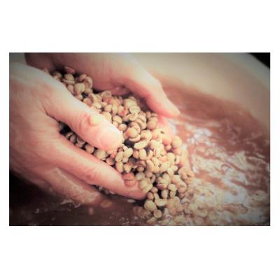 ふるさと納税 江府町 スペシャルブレンド ブナの森 豆 お試し70g×2 コーヒー 奥大山の水洗い珈琲 |  | 03