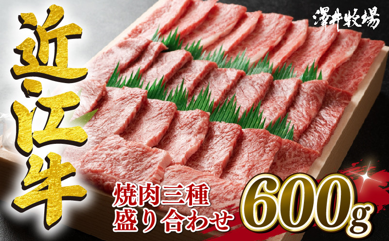 
近江牛 焼肉 霜降り 赤身 盛り合わせ 600g 冷凍 黒毛和牛 和牛 牛肉 牛 ふるさと納税 ブランド 三大和牛 贈り物 ギフト 国産 滋賀県 竜王町 澤井牧場 神戸牛 松阪牛 に並ぶ 日本三大和牛
