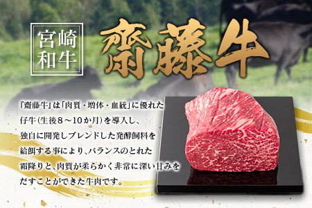齋藤牛 切り落とし肉（400g×2P）計800g【B548】