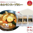 【ふるさと納税】【お選びいただけます】旭川フーズ・ワン　北海道ホルモンスープカレー　3～5食セット | 食品 加工食品 人気 おすすめ 送料無料