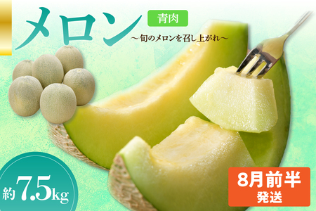 先行予約【2025年8月前半発送】【秀～優品】津軽平野のメロン 約7.5kg程度(青肉メロン)【青森メロン】