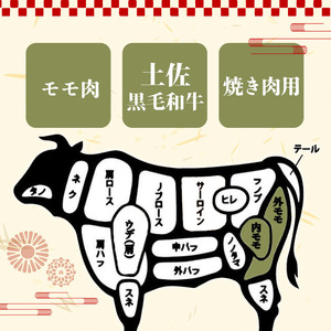 土佐 黒毛 和牛 焼肉用1.2kg （ 400g × 3パック ） | 特撰 モモ肉 最上位等級 A4 A5 最高ランク 1kg 以上 贅沢 焼き肉 やきにく 小分け 冷凍 国産 ブランド 和牛 牛肉