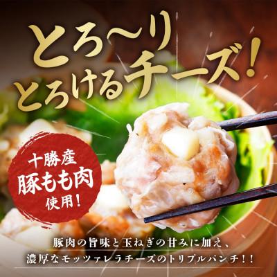 ふるさと納税 帯広市 十勝 チーズ入り肉しゅうまい 8個入り×2パック 北海道産豚肉使用 北海道 帯広市 |  | 01