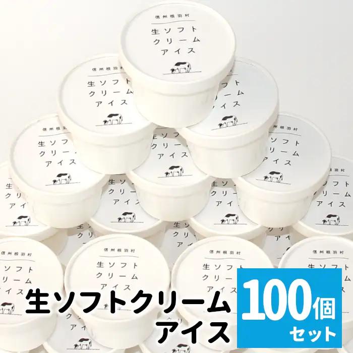 イベントやパーティにも◎生ソフトクリームアイス100個 80ml アイスクリーム ソフトクリーム スイーツ アイス デザート 根羽村 ネバーランド 60000円
