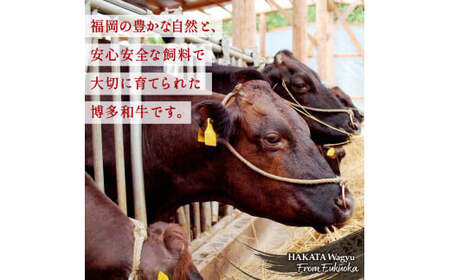 博多和牛 サーロインステーキ 定期便全6回 計約4.8kg 肉 お肉 和牛 牛 牛肉 焼肉 ステーキ バーベキュー BBQ 定期便 200g 4枚 800g 福岡県 八女市 072-T134