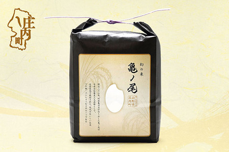 庄内産 亀ノ尾 2kg×1袋 令和7年産 2025年産 亀の尾 コシヒカリの原点、亀の尾発祥の地 庄内