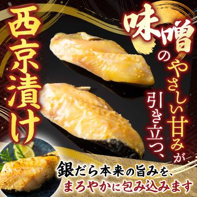 ふるさと納税 根室市 銀だら粕漬12切、銀だら西京漬12切(計24切) B-14032 |  | 02