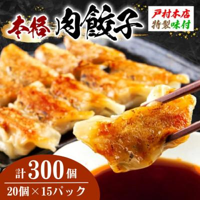 ふるさと納税 日南市 焼くだけ!!簡単調理!!本格 肉餃子　計300個(20個入り×15パック)