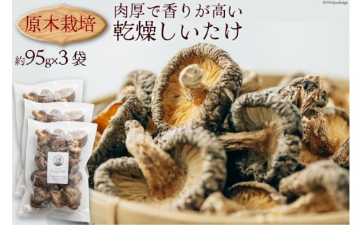 原木栽培 乾燥しいたけ 約95g×3P 肉厚 熊本県 特産 [日添 熊本県 五木村 51120233] 椎茸 しいたけ 乾燥椎茸 乾燥 シイタケ 熊本県 五木村 特産