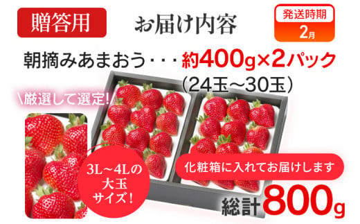 【先行予約】朝摘みあまおう 800g ※2027年2月中順次出荷予定 BD01-2 800g(400g×2)【2月中発送予定】