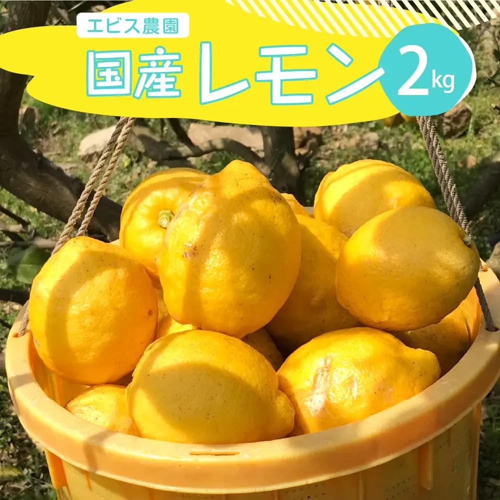 先行受付 2026年11月上旬～発送 国産オーガニックレモン約2kg