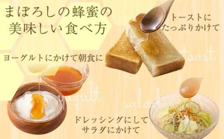 【B51001】鹿児島県産日本ミツバチ蜂蜜(約450g×2本・計約900g) 幻とも言われる貴重な生はちみつ！蜂蜜 ハチミツ はちみつ ハニー 蜜 国産 鹿児島 日本ミツバチ 生はちみつ 生蜂蜜 トー