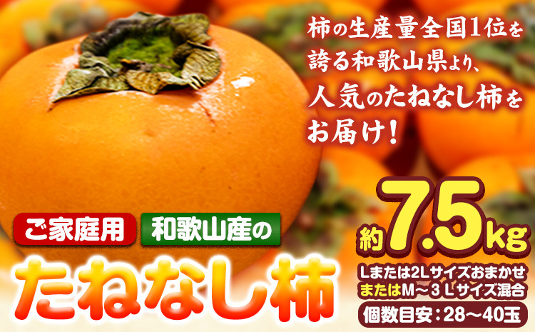 
                  【ご家庭用】【先行予約】和歌山産のたねなし柿約7.5kg Lまたは2LサイズおまかせまたはM～3Lサイズ混合(個数目安:28玉～40玉)《2026年10月上旬-11月末頃出荷予定》 和歌山県 紀の川市 紀の川市厳選館 柿 カキ かき ジューシー フルーツ 秋の味覚 刃根早生 平核無柿
                