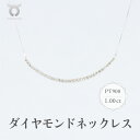 【ふるさと納税】PT900　ダイヤモンド　ネックレス　1.00ct　17781A　Pt　DIA　PN レディース ファッション ギフト プレゼント 誕生日 記念日 お祝い おしゃれ 大人 ジュエリーケース付 アクセサリー ジュエリー プラチナ