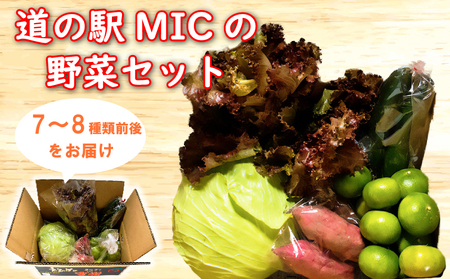 旬の野菜 セット 7,8種類前後 野菜 サラダ 新鮮 葉物 根菜 香味 定番野菜 愛媛 愛南