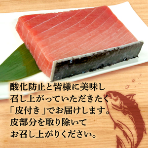 本マグロ 中トロ 800g 刺身 マグロ