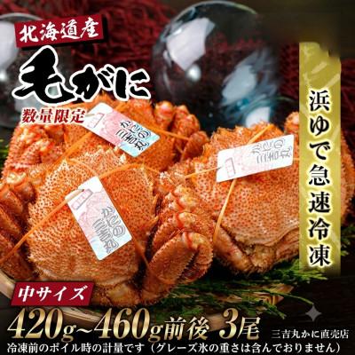 ふるさと納税 白老町 【浜ゆで自社タグ付】北海道産ボイル毛ガニ420g〜460g前後×3尾 冷凍