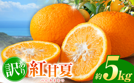 訳あり 紅甘夏 約 5kg | 甘夏