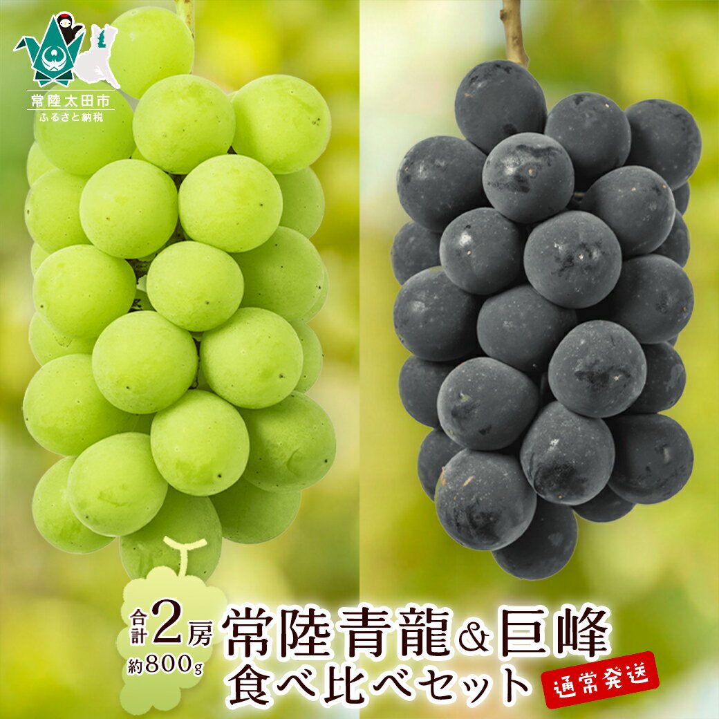 【ふるさと納税】《先行予約 数量限定》ぶどう食べ比べ 常陸青龍1房(常陸太田市オリジナル品種)&巨峰1房 約800g | 茨城県 常陸太田市 ぶどう 青龍 巨峰 大粒 甘い 香り 美味しい みずみずしい 果汁 ジューシー デザート 限定 お取り寄せ 贈答品