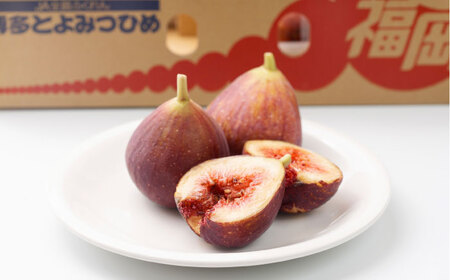 【2025年8月上旬より順次発送】福岡産ブランド無花果 とよみつひめ 約300g×4パック 吉富町/南国フルーツ株式会社[BGAG012]