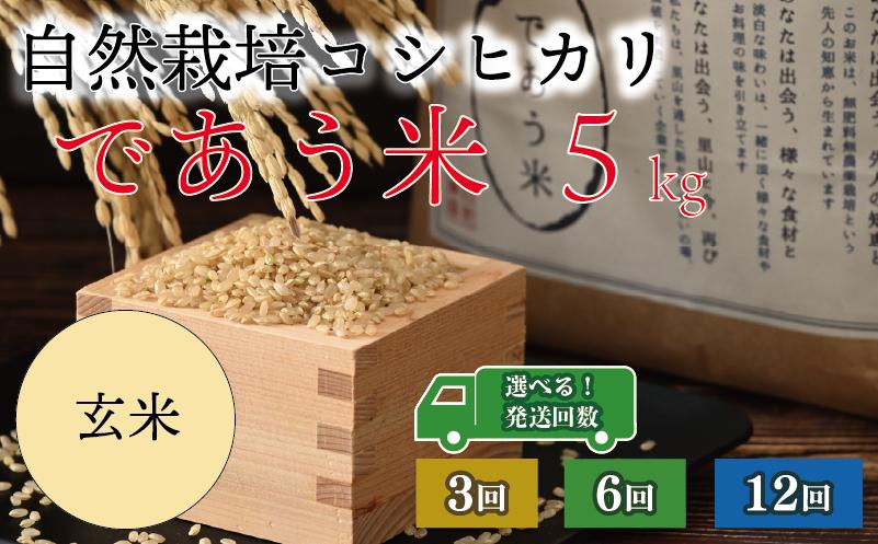 
            先行予約 米 定期便 玄米 5kg 12回 6回 3回 令和7年産 新米 こしひかり 選べる回数 自然栽培 栄養 豊富 数量限定 お米 こめ おこめ ご飯 ごはん R7 2025年産 こだわり おいしい 美味しい であう米 石川県 能登 羽咋
          