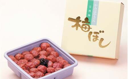 庭園梅しそ漬 500g ＜塩分12％＞ / 梅干し 梅干 紀州南高梅 南高梅 梅 和歌山 田辺 しそ しそ漬け おかず 減塩 塩分12％ 塩分控えめ ご飯のお供 国産 酸っぱい 焼酎 【okh008】